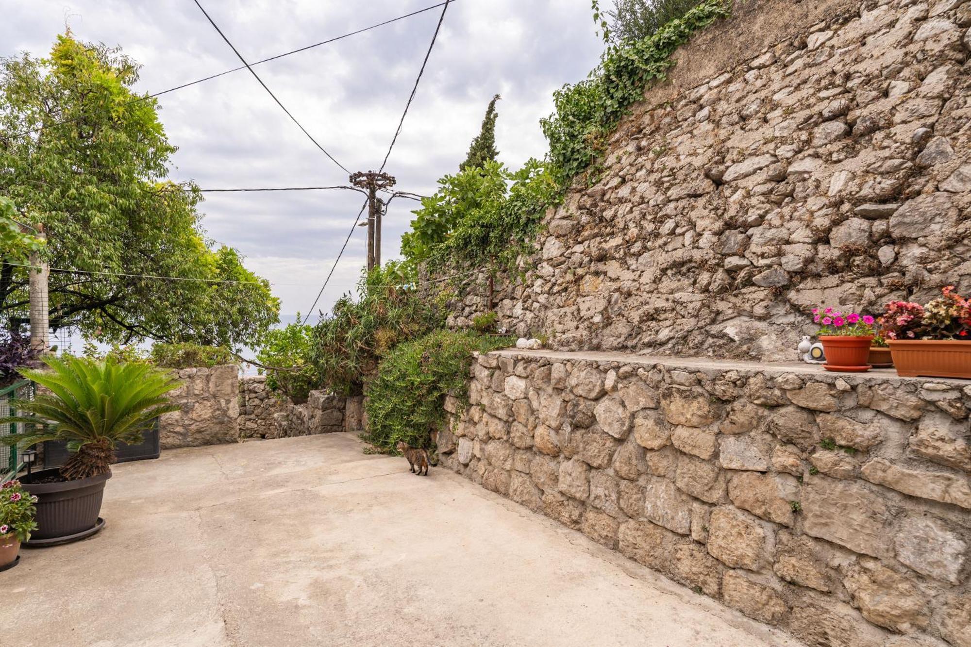 Maro * Dubrovnik